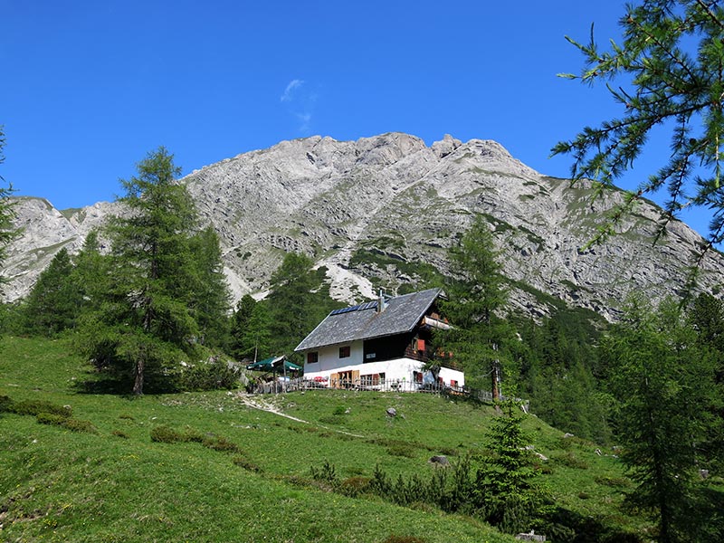 Weittalspitze